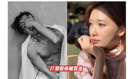 台媒爆料林志玲家暴视频,台媒揭露惊人一幕